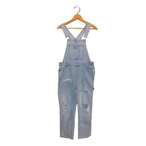 Wild Fable Denim Overalls